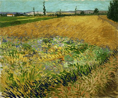 Tarweveld door Vincent van Gogh